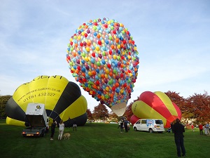 Hot Air Balloon Experience