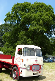 boconnoc-steam-fair