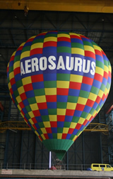 New Hot Air Balloon
