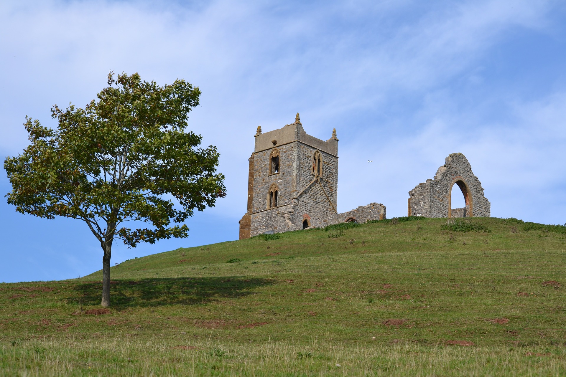 Burrow Mump