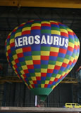 Aerosaurus Flights Balloon