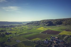 summer balloon flight