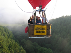 Valentines Day Hot Air Balloon Flight