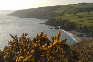 south west england coastline