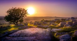 dartmoor national park