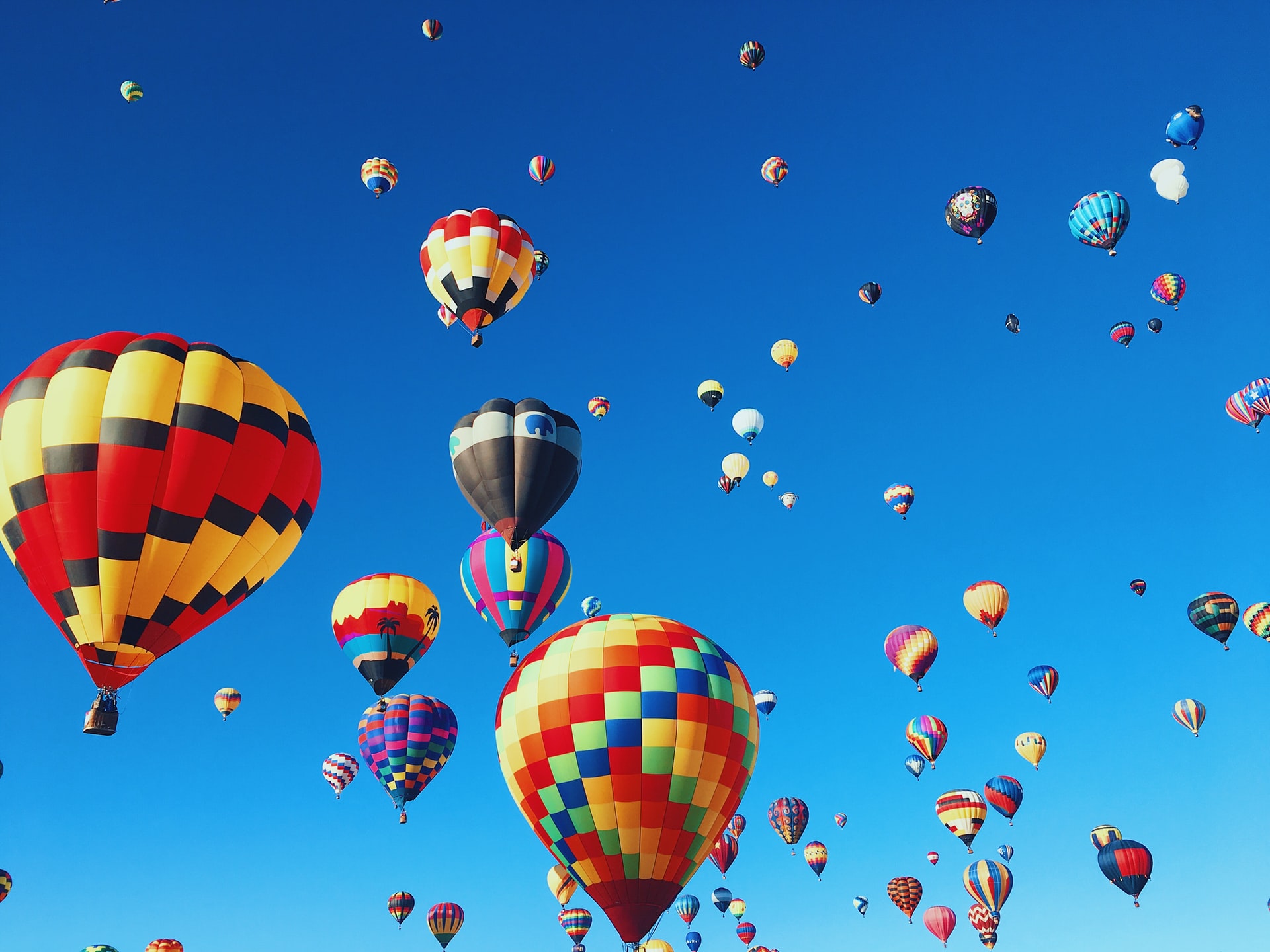 hot air balloons in air