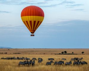 best places to fly